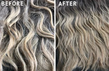 extensions-results